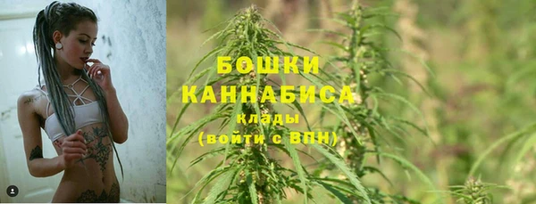 apvp Белокуриха