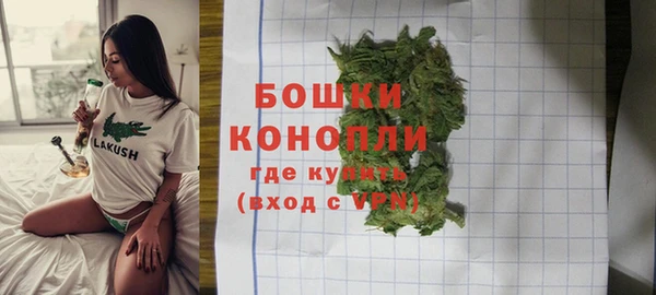 крисы Белоозёрский