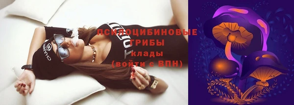 apvp Белокуриха