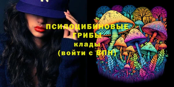 крисы Белоозёрский