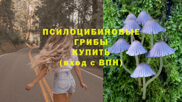 apvp Белокуриха