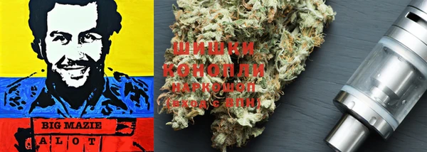 apvp Белокуриха