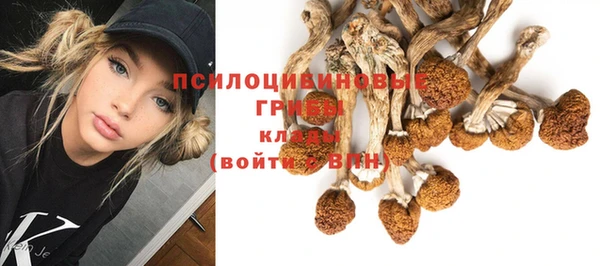 a pvp Беломорск