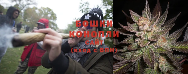 apvp Белокуриха