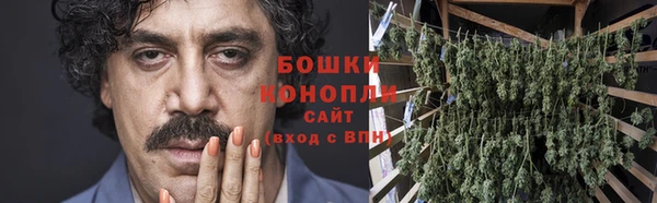 apvp Белокуриха